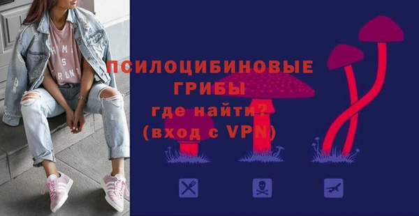 PSILOCYBIN Балахна