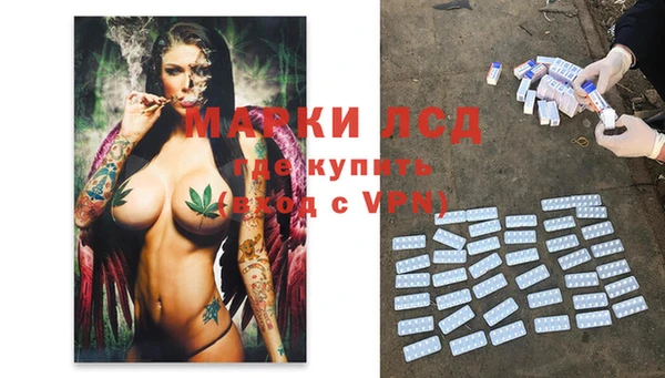 PSILOCYBIN Балахна