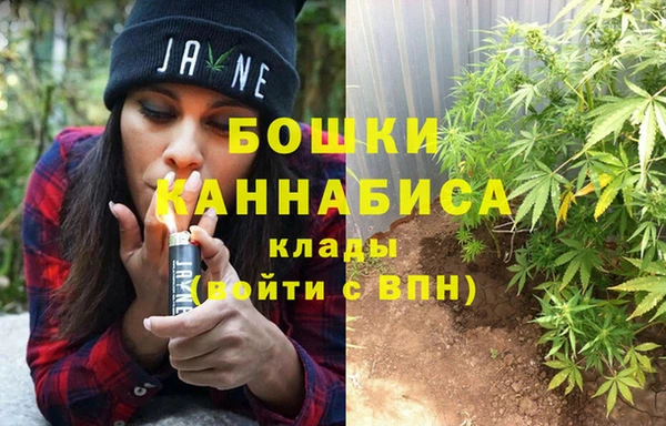 PSILOCYBIN Балахна