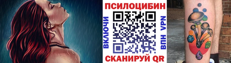 Галлюциногенные грибы GOLDEN TEACHER  закладки  Куровское 