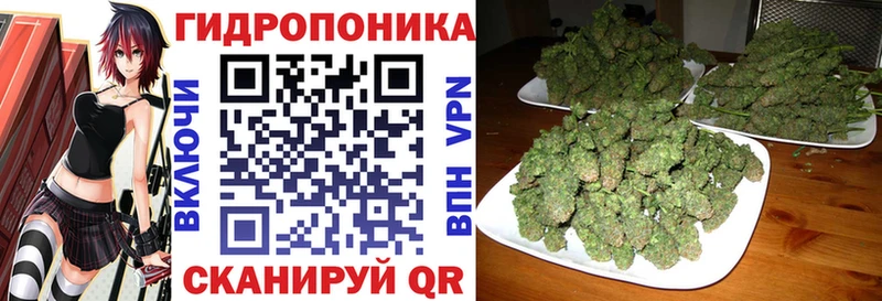 Бошки Шишки индика  ссылка на мегу tor  Куровское 